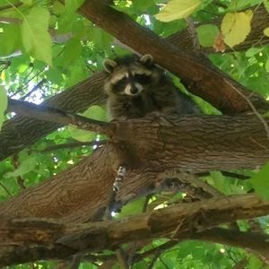 Meet your Posher, Shelly